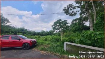 Tanah SHM Pekarangan Dekat Kantor Kelurahan Selomartani Nyaman