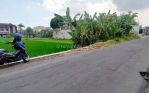 thumbnail-tanah-pekarangan-fisik-sawah-jalan-utama-condongcatur-3