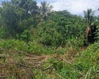 Dijual Tanah Siap Bangun di Rumpin