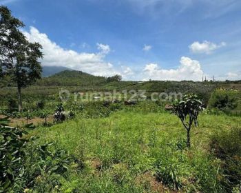 Tanah Cocok Untuk Rumah Villa Kebun di Bulukerto Bumiaji Batu