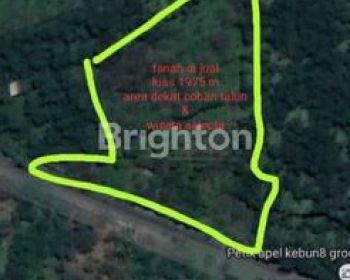 TANAH KEBUN APEL MURAH