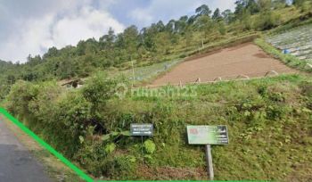 Tanah Luas di Area Kemuning Dekat Candi Sukuh Karanganyar