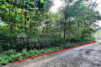 Jual Tanah Murah Meriah Strategis Sambi Boyolali