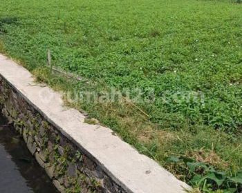 Tanah SHM Sayap Cisirung Moh Toha Tci Bebas Banjir