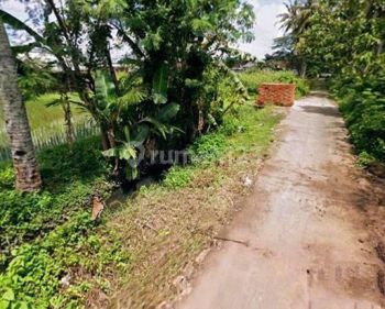 Tanah sawah samping calon exit tol gamping lt 1260m lb 11m juga dekat jl wts km