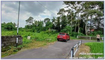 Dijual Tanah Jogja Dekat Exit Tol Kalasan
