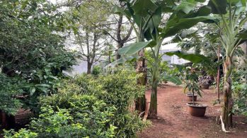 Kavling Bintaro Jaya Sektor 5 Shm 14x25 Bagus