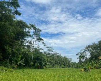 DIJUAL TANAH TANPA PERANTARA