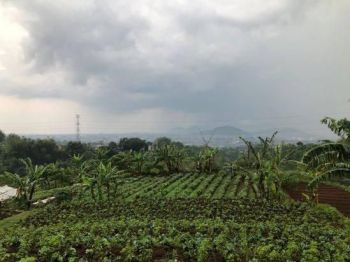 DIJUAL CEPAT Luas Tanah 13.065 m2 ngamprah