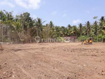 Murah, 100jt an Cocok Bangun Kost Area Industri Sentolo Jogja