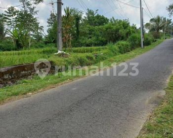 Dijual tanah murah jalan utama lokasi tegalalang ubud area