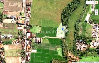 Tanah Istimewa View Sungai Dikelilingi Sawah Lod Tunduh Ubud Bali