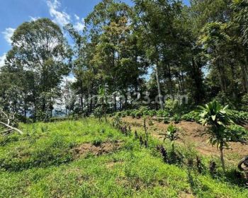 Tanah Kebun Murah di Bulukerto Bumiaji Kota Batu Cocok untuk Cafe