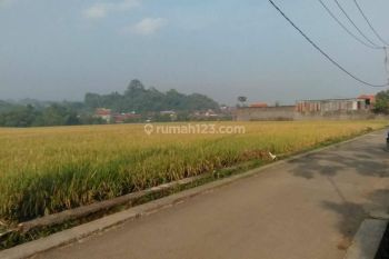 Jual Tanah Sawah Masih Aktif Jl. Curug Majalaya