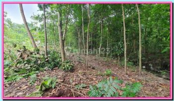 Dijual Tanah Bantul Jogja, Dekat Kampus Umy