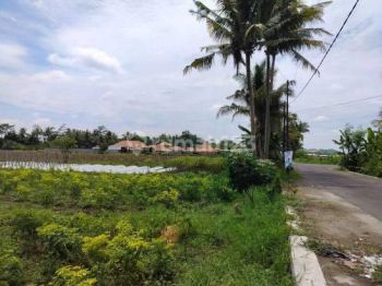 Jual Tanah Murah di Barat Puskesmas Seyegan Sleman