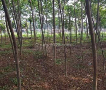 DIJUAL CEPAT..
KAVLING Di GUNUNG SINDUR, PARUNG , KABUPATEN BOGOR