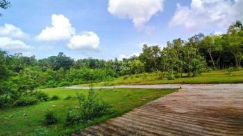 Dekat Polres Kulonprogo, Tanah Cocok Hunian Jogja Barat