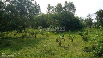 Dekat Taman Buah Mekarsari. Hanya 1jutaan Permeter. SHM