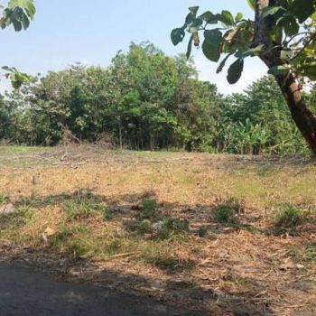 Dijual Tanah di Banyakan SHM Dekat Bandara Dhoho Kediri