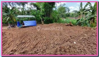 Tanah Dijual Murah Magelang, Dekat Candi Borobudur