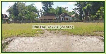Tanah Jogja Dekat Candi Prambanan, SHM Siap Ajb, Suasana Asri