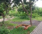 thumbnail-tanah-lingkungan-villa-diungasan-kuta-selatan-badung-bali-3