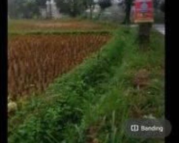 Tanah murah 4,8 hektar dipinggir wisata Taman bunga cianjur