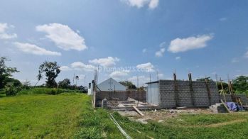 Siap Balik Nama, View Sawah di Kaliurang Jogja Pas Guest House