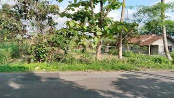 Dijual Tanah Luas SHM Sawah Proses Pengeringan Kawasan Ngaglik