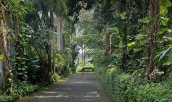 KAVLING SIAP BANGUN BAGUS DEKAT AREA PERKANTORAN