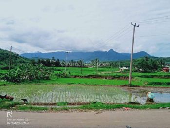 Lokasi asri buat Villa di pedesan Di jonggol bogor timur