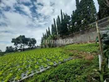 Dijual Tanah di Padasaluyu Sayap Setiabudi