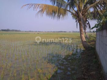 Dijual Lahan Kavling Jln Kp. Melatian Ds. Sukahurip Kab. Bekasi