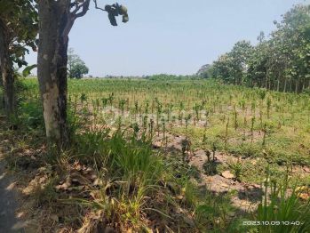 Tanah Tegalan Letak Strategis Cocok Untuk Investasi