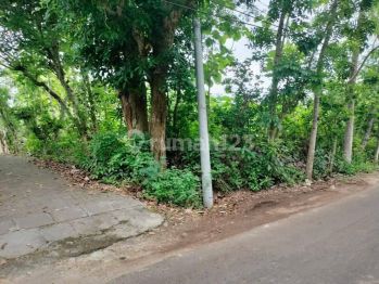 Dijual tanah dekat pantai Pandawa kutuh Badung Bali