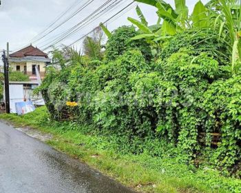 Tanah di cargo dalam zona perdagangan dan jasa