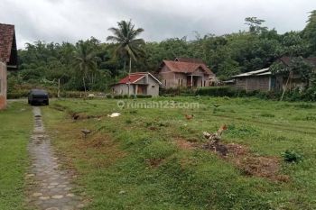 TANAH KAVLING MURAH PALING LARIS DI SALAMAN MAGELANG