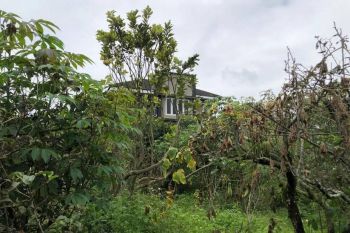RUMAH VILLA HARGA MIRING TANAH SUPER LUAS FREE FURNISH DI BATU