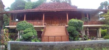 Rumah Vila gebyok jati dekat candi kalasan full furnished