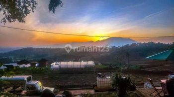 Tanah Wisata Kebun Anggur dan Villa Kayu Bogor Timur Cibubur