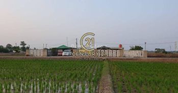 Di  Kolam Ikan Di Telagasari Karawang Jawa Barat