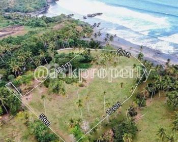 DIJUAL TANAH PINGGIR BALIAN TABANAN BALI