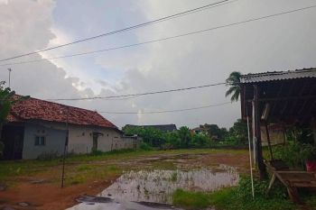 Jual Tanah Siap Bangun Dekat SMPN 3 Batang, Sertifikat SHM Siap Balik Nama