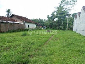 Dekat Pemda Sleman , Tanah Tepi Aspal Harga Murah , Shm p