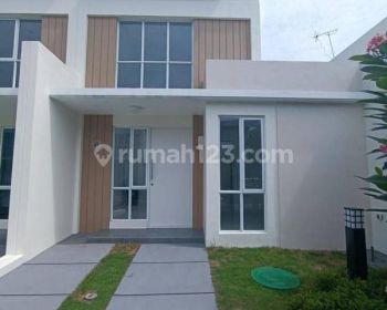 Disewakan Rumah Di Paramount Petal