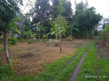 Dijual cepat tanah murah di Sawahan pojok garum Blitar