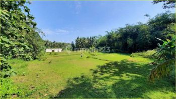 Dekat Wisata Alam Menoreh, Tanah Jogja Cocok Homestay Dijual