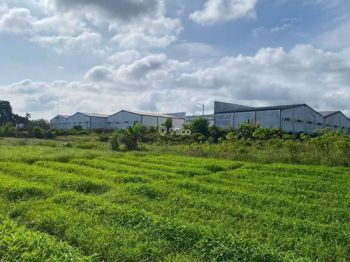 Tanah Kampung Kecil Pal merah