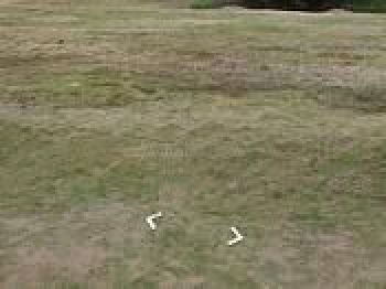 Cepat Kavling Golf Island Hoek Best Deal